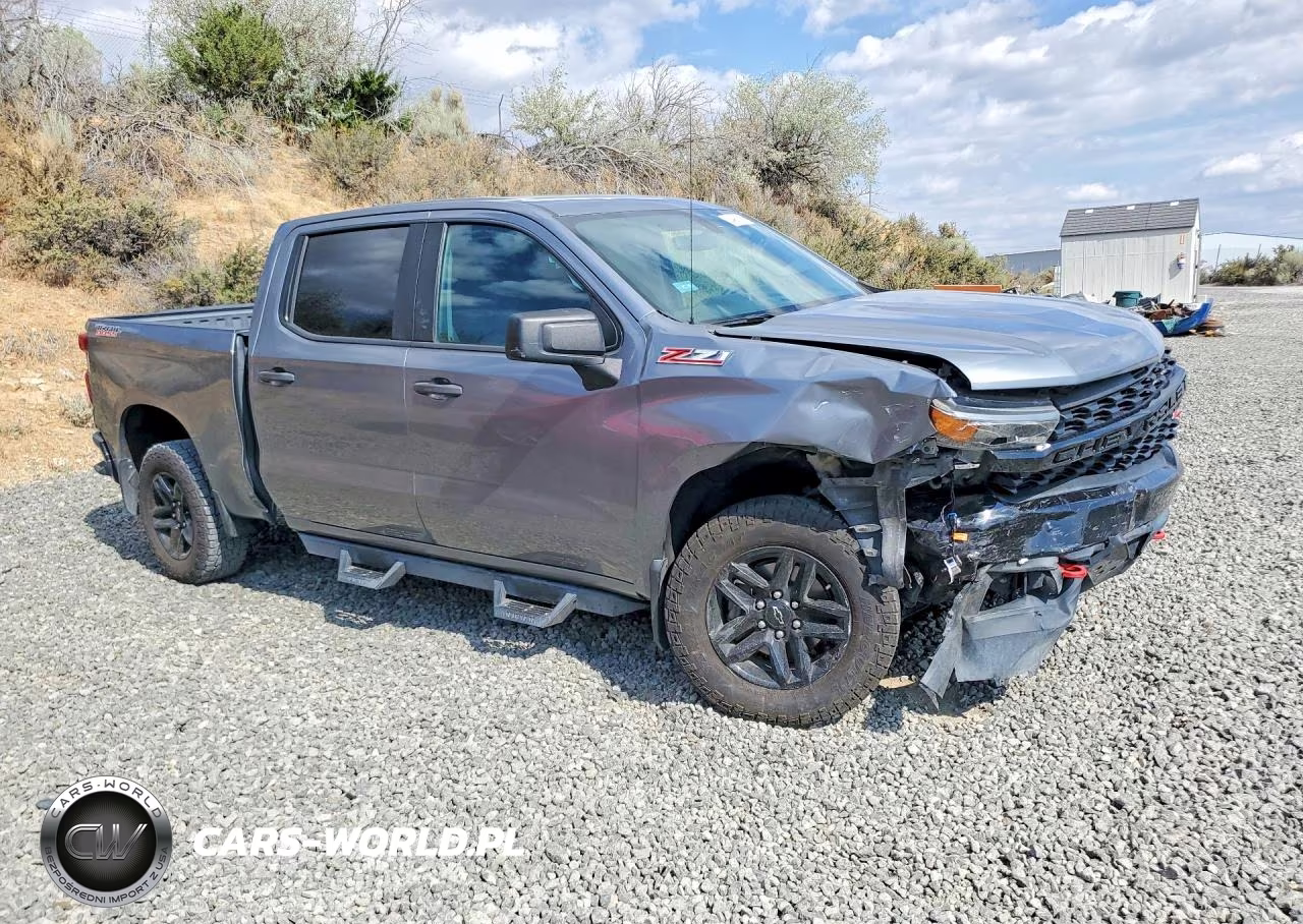 2020 Chevrolet Silverado K1500 Trail Boss Custom VIN:3GCPYCEF9LG118473 - 4