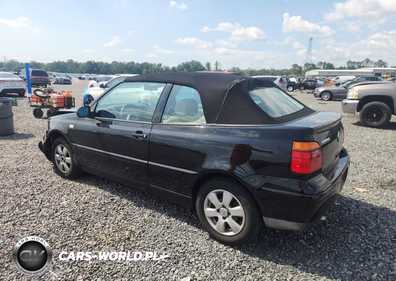 2002 Volkswagen Cabrio Glx VIN:3VWDC21V52M806170 - 2