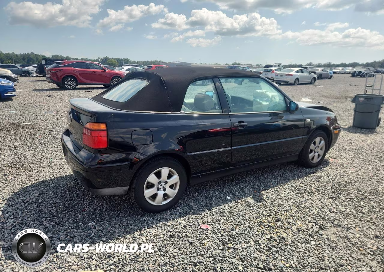 2002 Volkswagen Cabrio Glx VIN:3VWDC21V52M806170 - 3