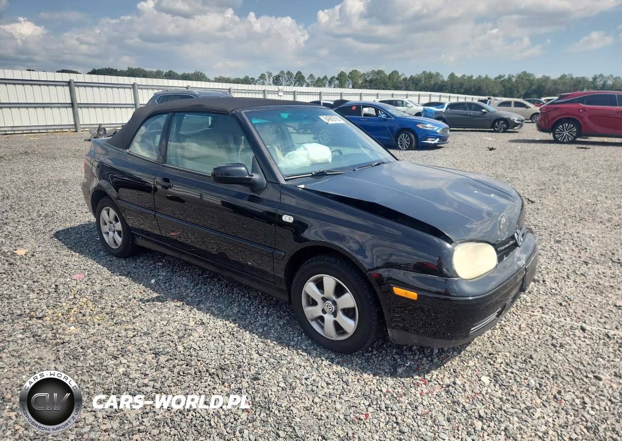 2002 Volkswagen Cabrio Glx VIN:3VWDC21V52M806170 - 4