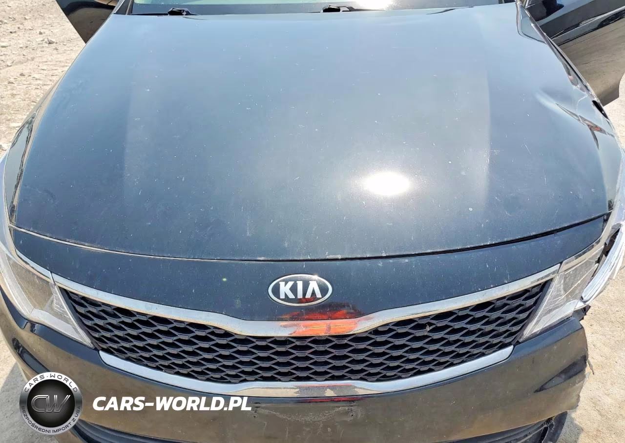 2016 Kia Optima Lx VIN:5XXGT4L36GG099354 - 11