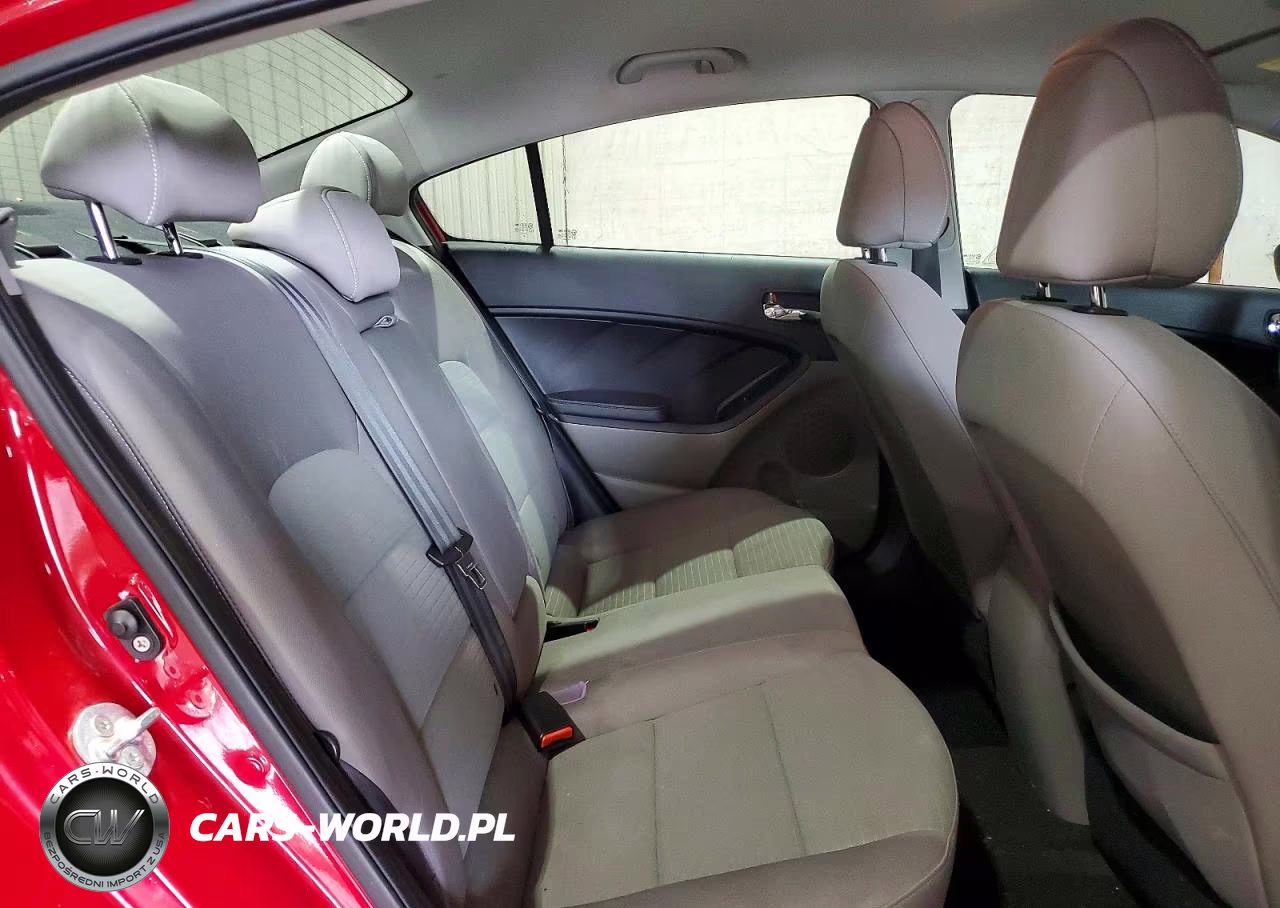 2014 Kia Forte Lx VIN:KNAFX4A64E5110346 - 10