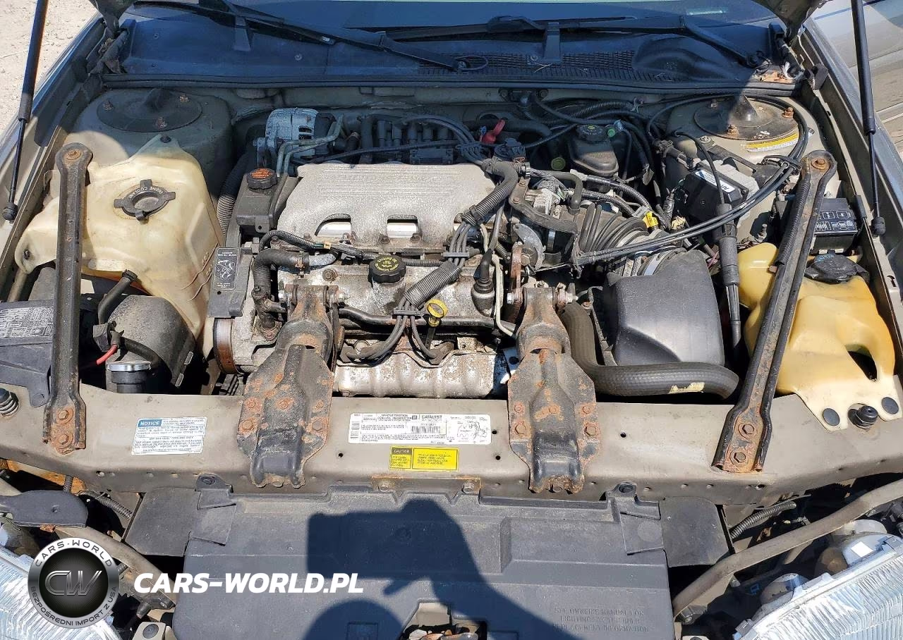 1998 Chevrolet Lumina Base VIN:2G1WL52M7W9138818 - 11