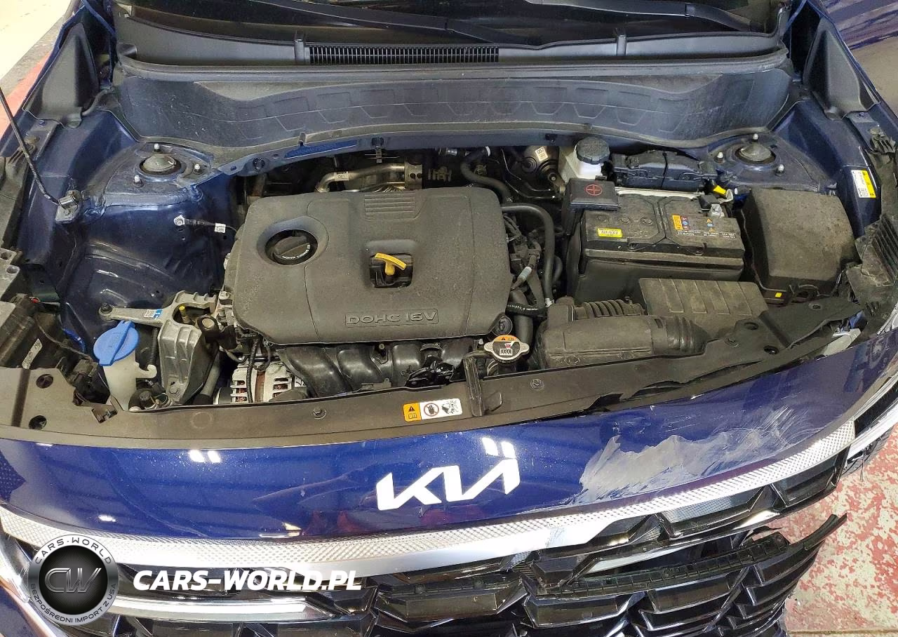 2024 Kia Seltos Ex VIN:KNDERCAA4R7552853 - 11