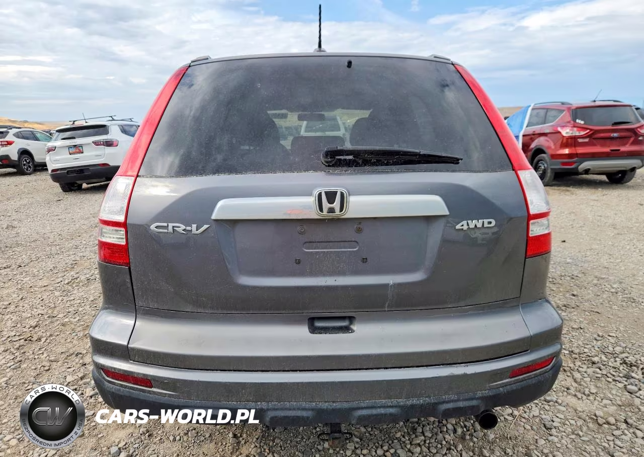 2010 Honda Cr-V Exl VIN:5J6RE4H74AL026757 - 6