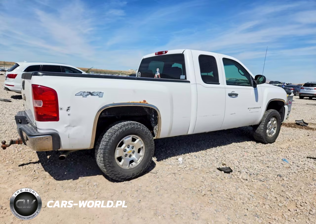 2009 Chevrolet Silverado K1500 VIN:2GCEK190491122662 - 3