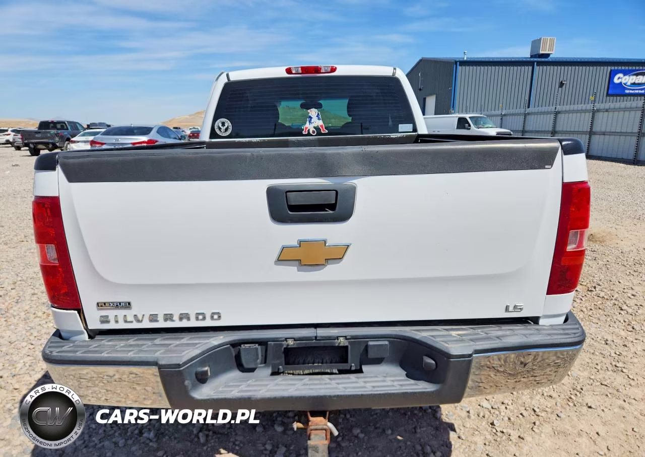 2009 Chevrolet Silverado K1500 VIN:2GCEK190491122662 - 6