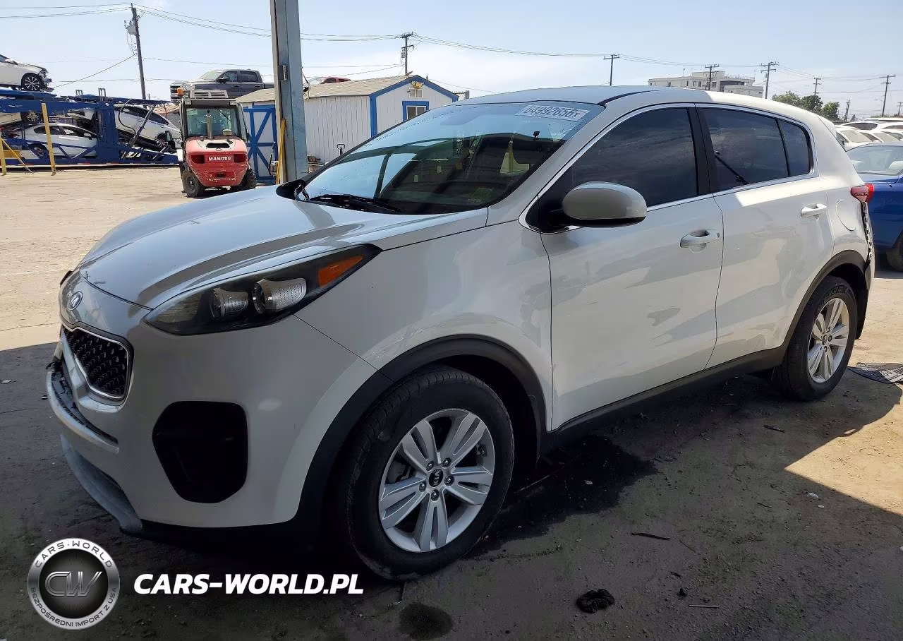 2019 Kia Sportage Lx VIN:KNDPM3AC6K7579146 - 1
