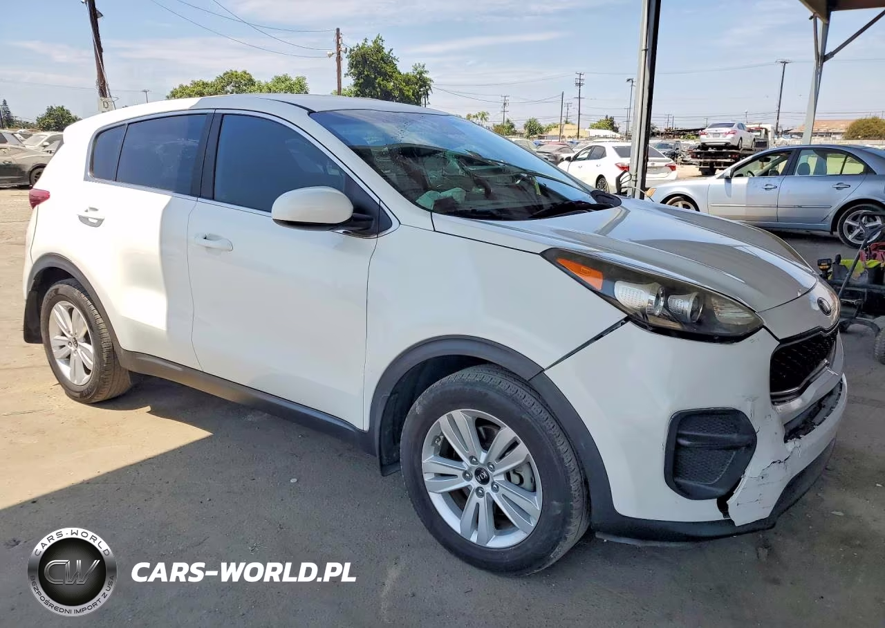 2019 Kia Sportage Lx VIN:KNDPM3AC6K7579146 - 4