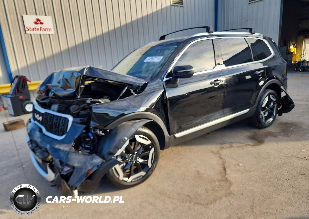 2025 Kia Telluride Ex VIN:5XYP34GC3SG733184 - 1