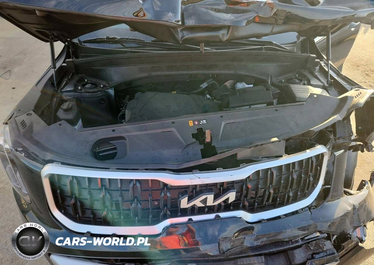 2025 Kia Telluride Ex VIN:5XYP34GC3SG733184 - 12