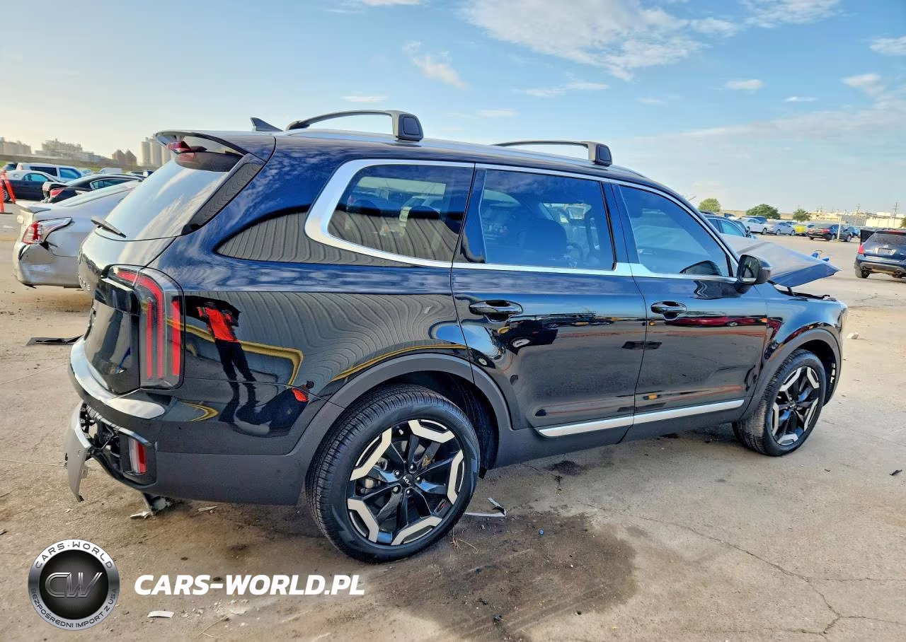2025 Kia Telluride Ex VIN:5XYP34GC3SG733184 - 3