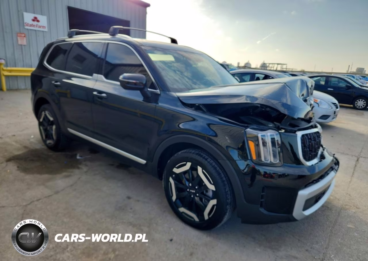 2025 Kia Telluride Ex VIN:5XYP34GC3SG733184 - 4