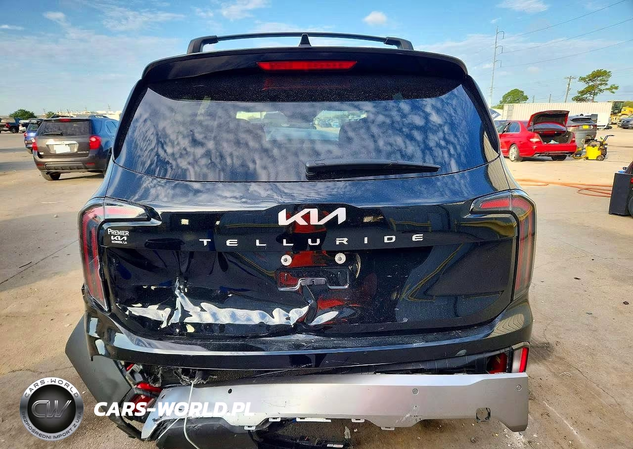 2025 Kia Telluride Ex VIN:5XYP34GC3SG733184 - 6