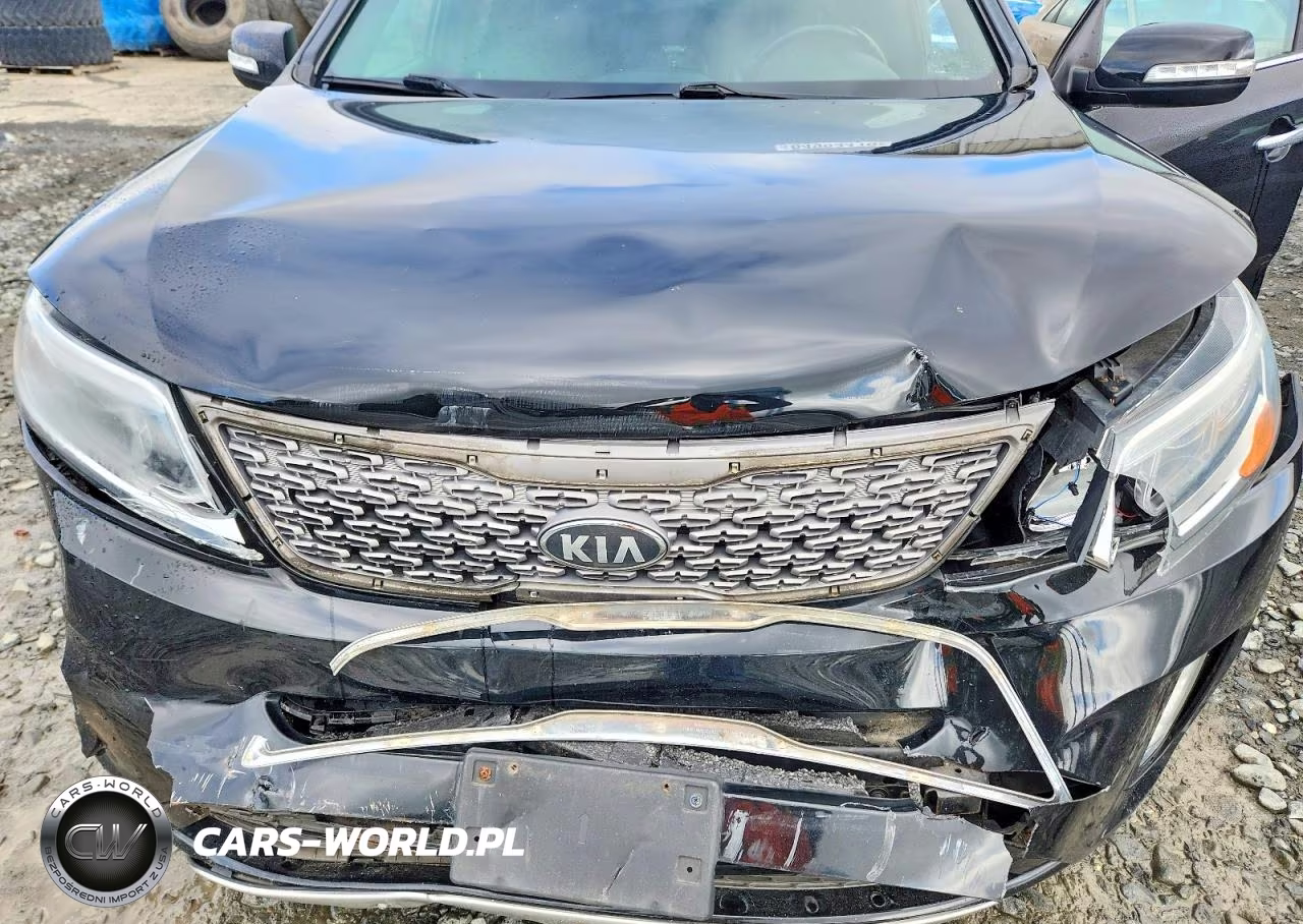 2014 Kia Sorento Sx Limited VIN:5XYKWDA74EG451296 - 11