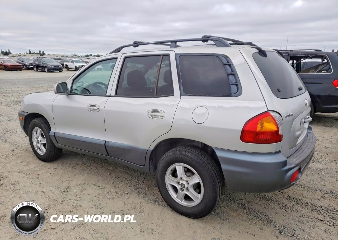 2004 Hyundai Santa Fe Base VIN:KM8SB12B04U772404 - 2