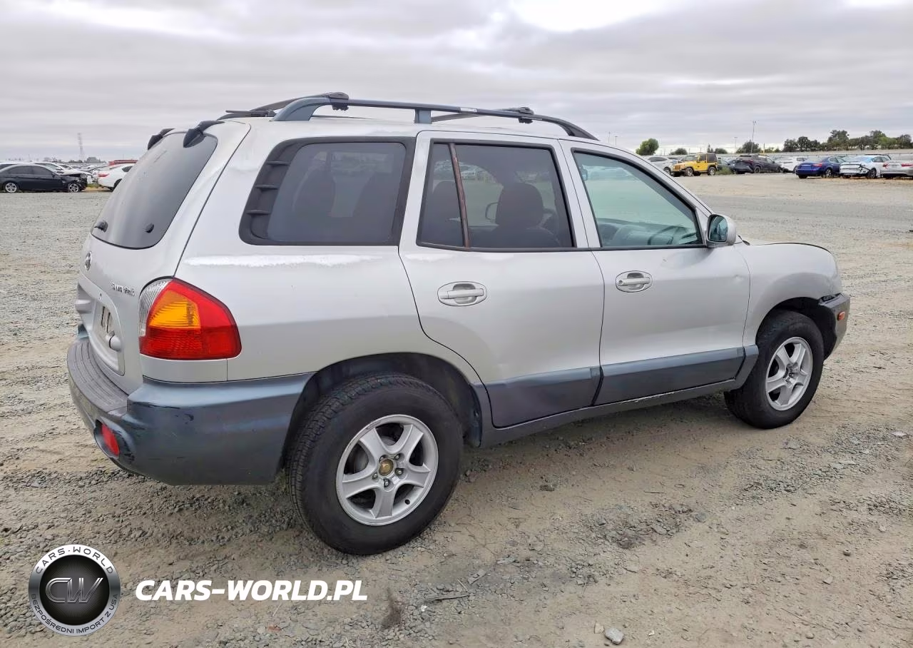 2004 Hyundai Santa Fe Base VIN:KM8SB12B04U772404 - 3
