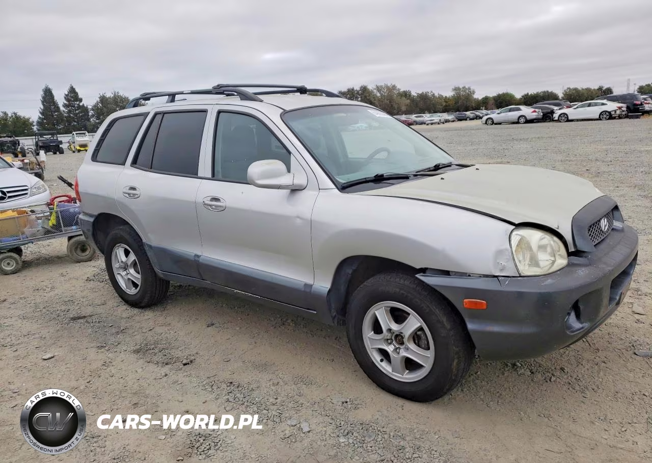 2004 Hyundai Santa Fe Base VIN:KM8SB12B04U772404 - 4