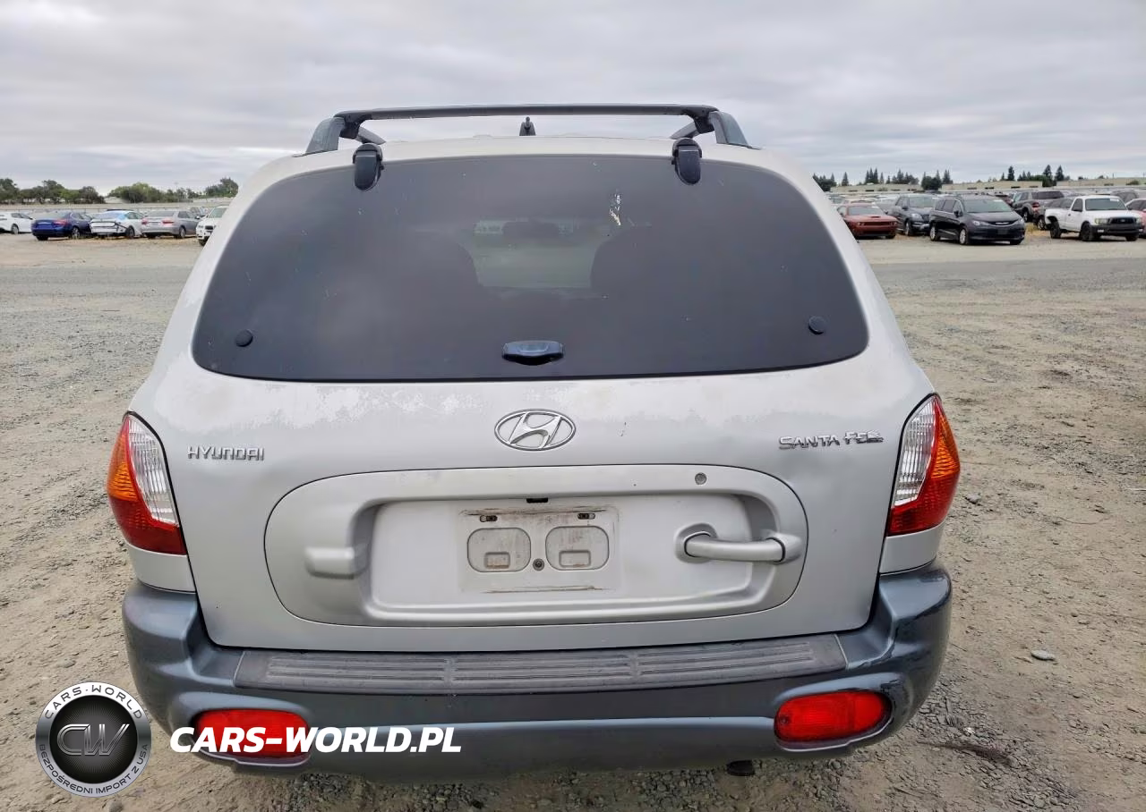 2004 Hyundai Santa Fe Base VIN:KM8SB12B04U772404 - 6