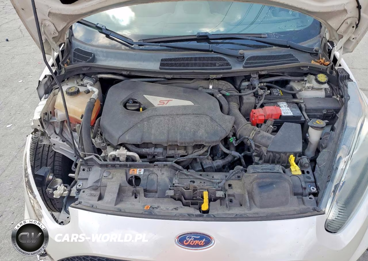 2018 Ford Fiesta St VIN:3FADP4GX8JM146772 - 11