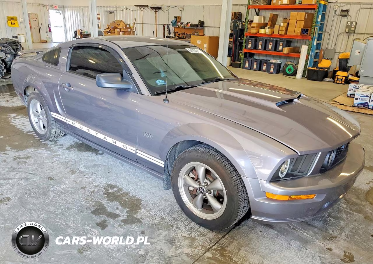2006 Ford Mustang Gt VIN:1ZVFT82H965200855 - 4