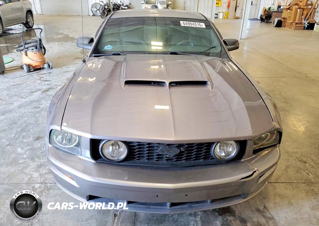 2006 Ford Mustang Gt VIN:1ZVFT82H965200855 - 5