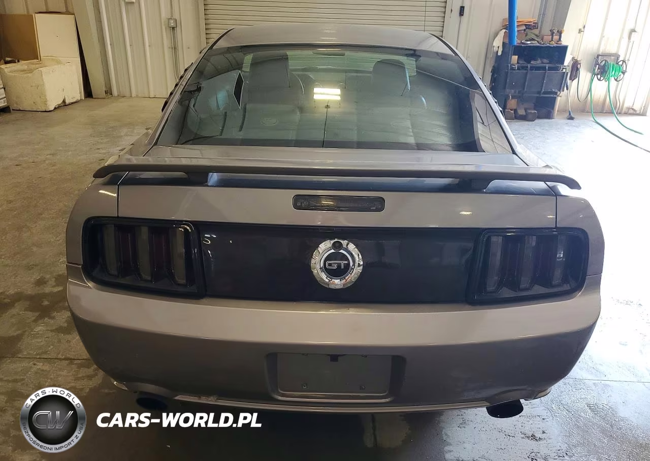 2006 Ford Mustang Gt VIN:1ZVFT82H965200855 - 6