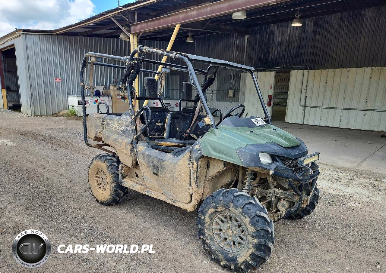 2019 Honda Utility Vehicle – zdjęcie 1 z 10