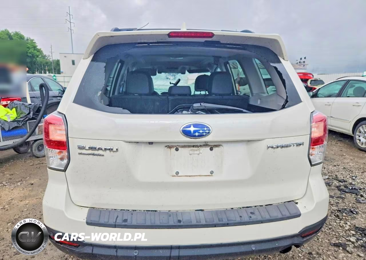 2018 Subaru Forester 2.5I Touring VIN:JF2SJAWC5JH568701 - 6