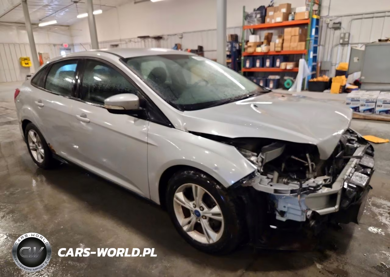 2014 Ford Focus Se VIN:1FADP3F25EL142461 - 4
