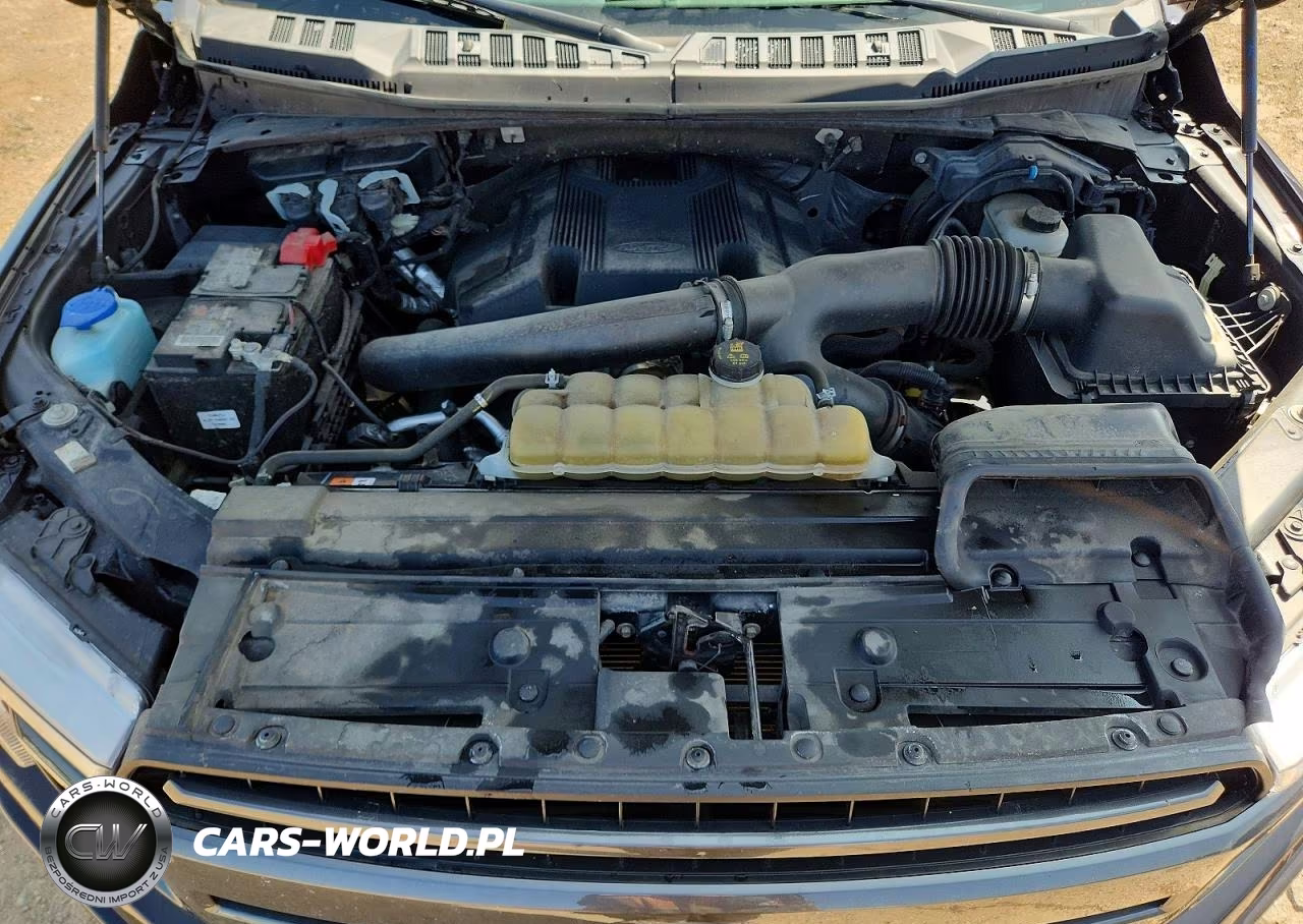 2020 Ford F150 Supercrew VIN:1FTEW1E48LFC30974 - 11