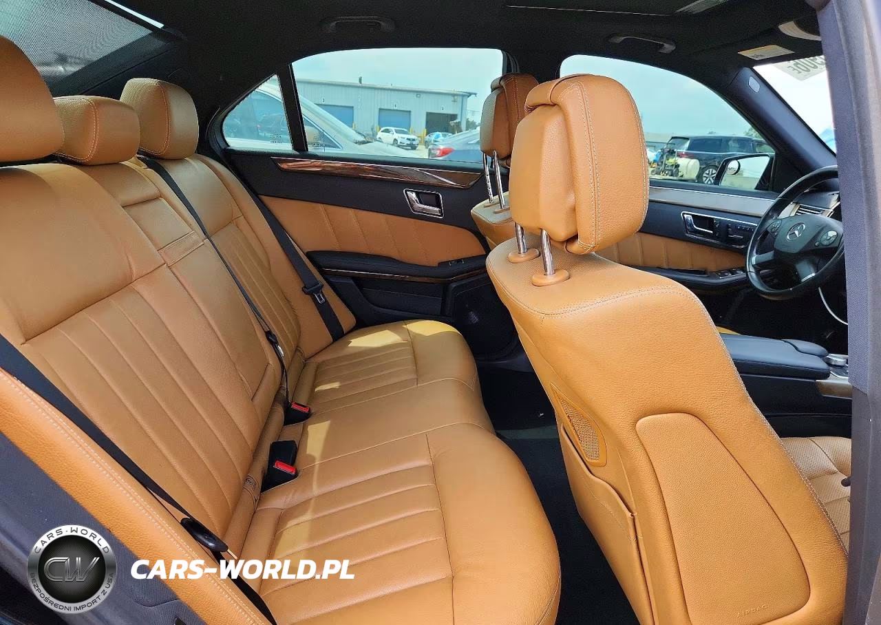 2010 Mercedes-Benz E 550 4Matic VIN:WDDHF9AB7AA169763 - 10