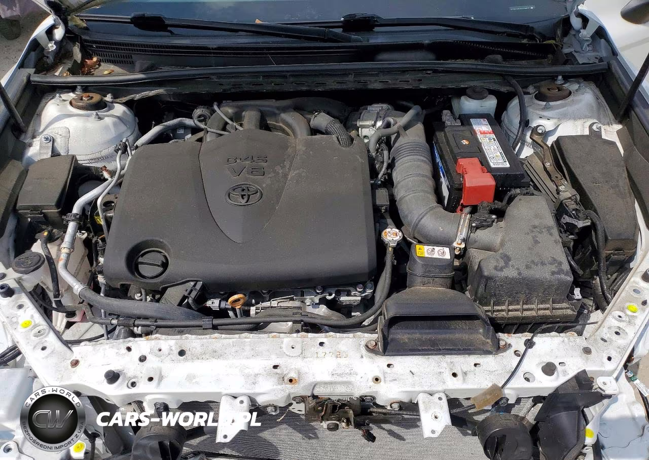 2019 Toyota Camry Xle V6 VIN:4T1BZ1HK1KU028617 - 11