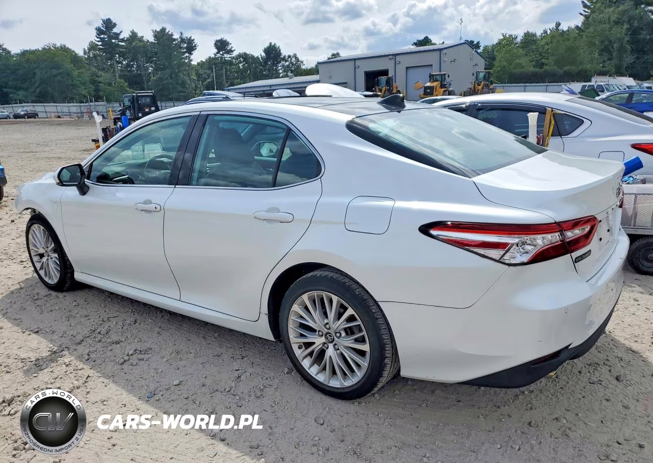 2019 Toyota Camry Xle V6 VIN:4T1BZ1HK1KU028617 - 2