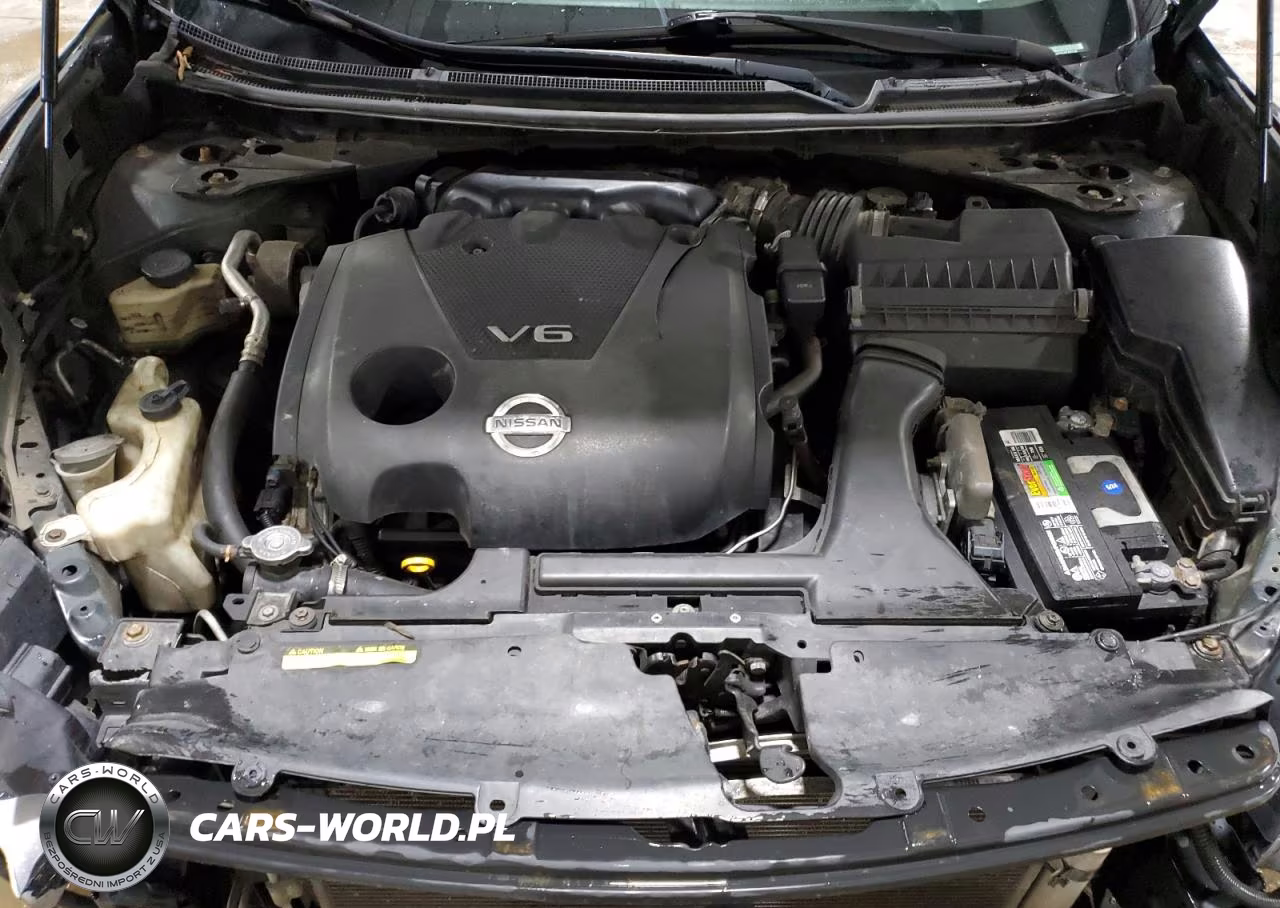 2009 Nissan Maxima S VIN:1N4AA51E49C837246 - 11