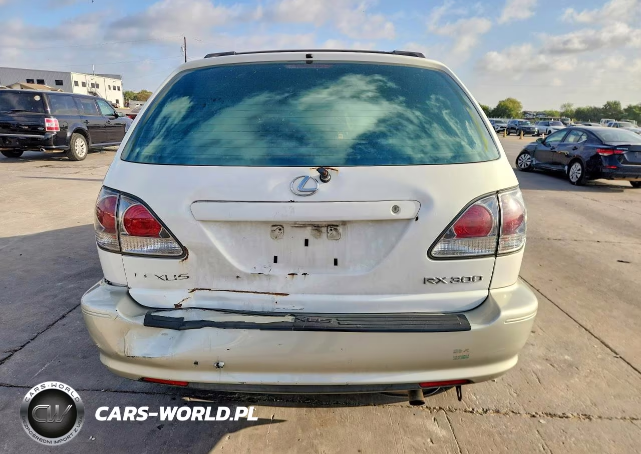 2001 Lexus Rx 300 VIN:JTJHF10U310188649 - 6