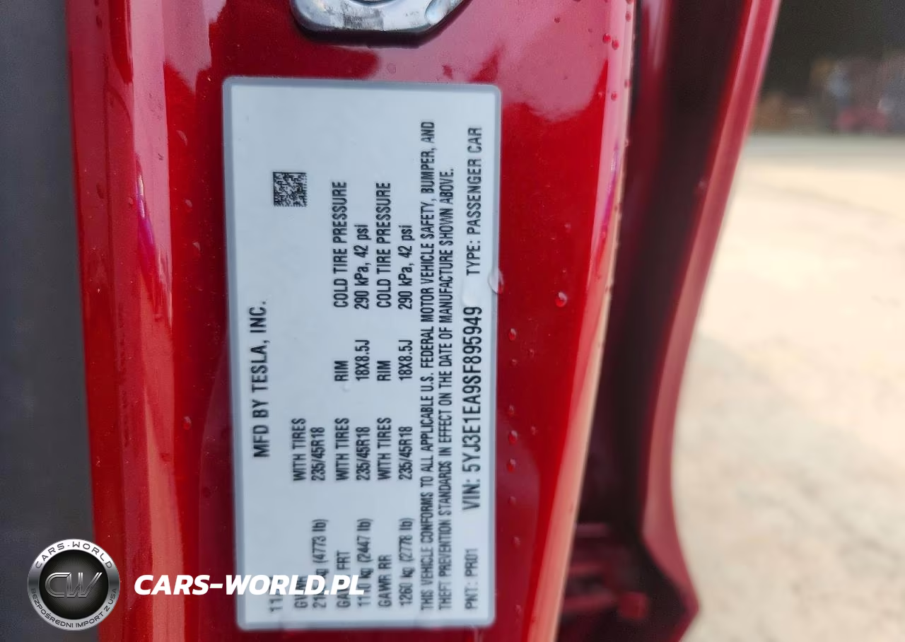 2025 Tesla Model 3 VIN:5YJ3E1EA9SF895949 - 12