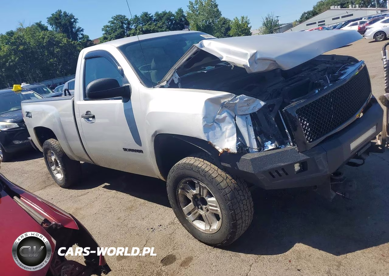 2010 Chevrolet Silverado K1500 Lt VIN:1GCPKSE03AZ154969 - 4