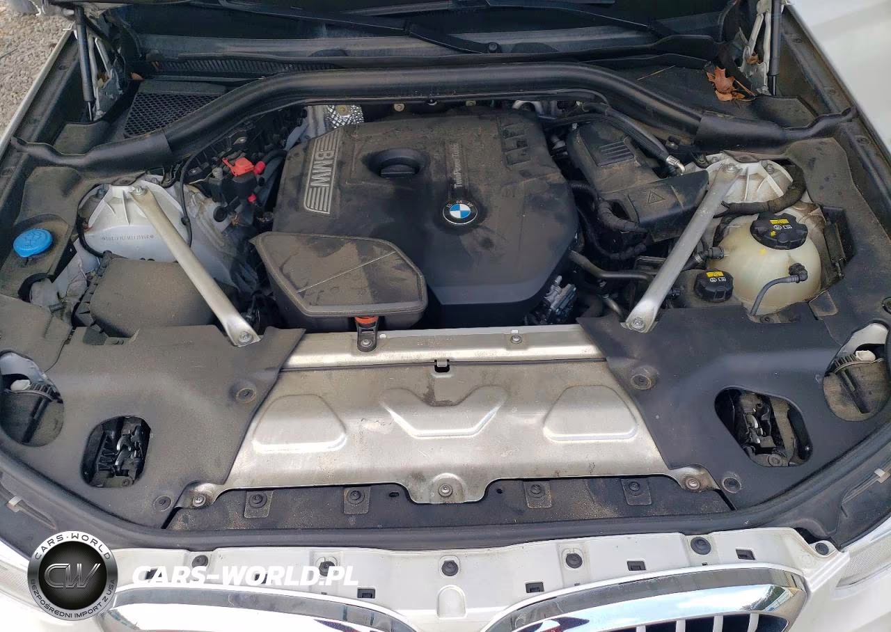 2019 BMW X3 Sdrive30I VIN:5UXTR7C51KLF25848 - 12
