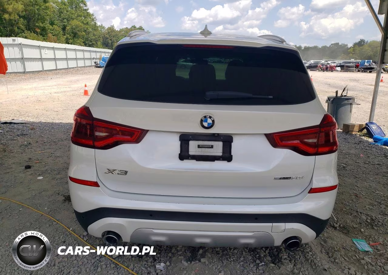 2019 BMW X3 Sdrive30I VIN:5UXTR7C51KLF25848 - 6