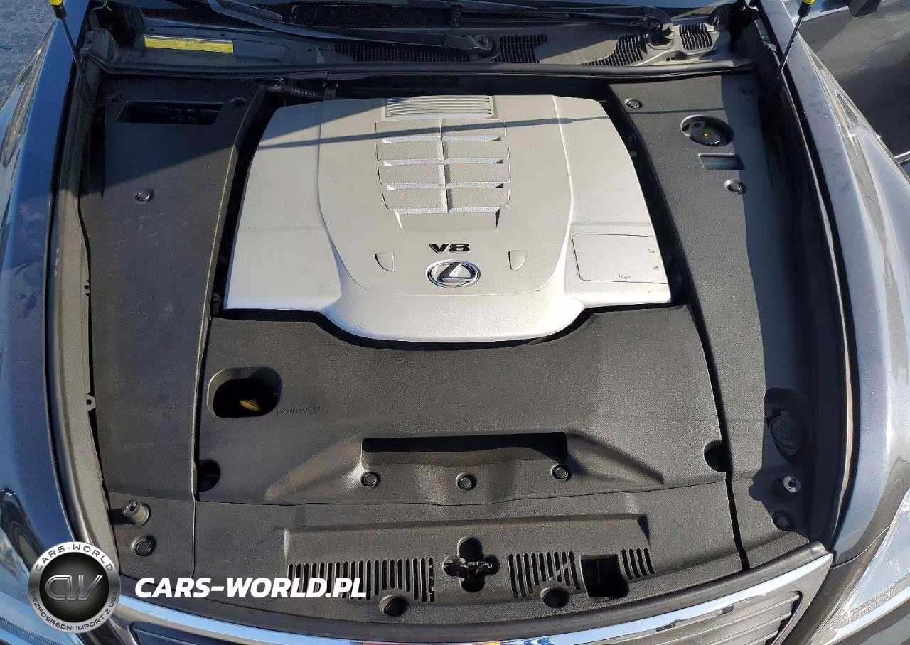 2008 Lexus Ls 460 VIN:JTHBL46F085074387 - 11