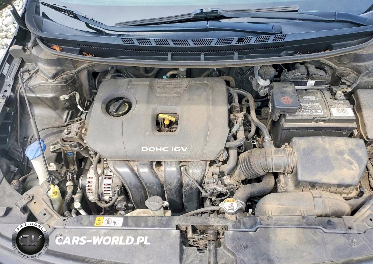 2017 Kia Forte Lx VIN:3KPFL4A78HE009813 - 11
