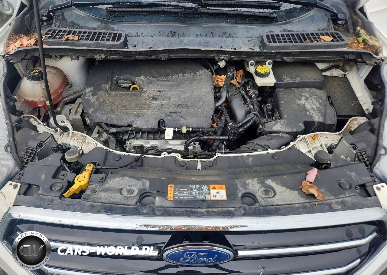 2018 Ford Escape Se VIN:1FMCU9GD4JUD53197 - 11