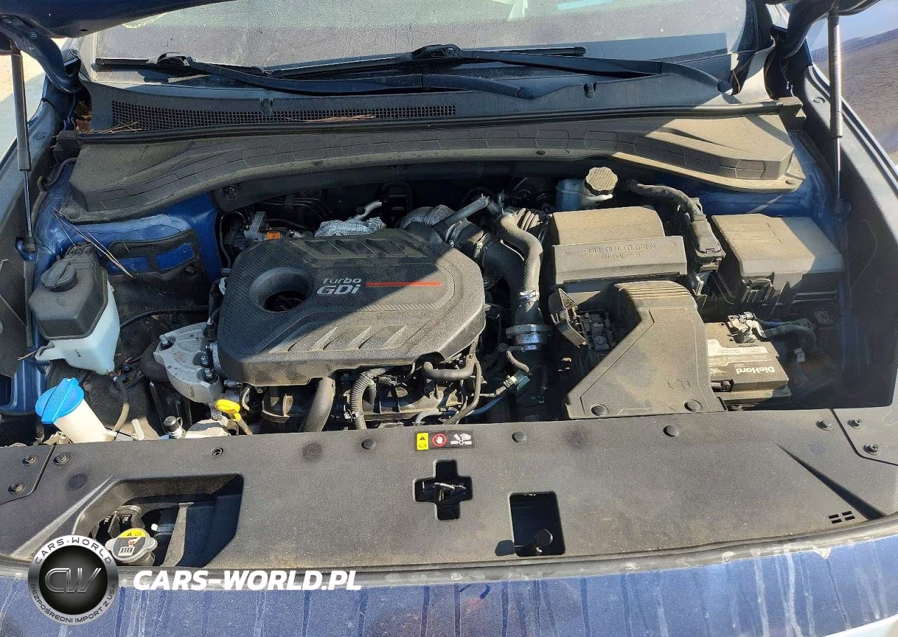 2019 Hyundai Santa Fe VIN:5NMS53AA1KH071245 - 11