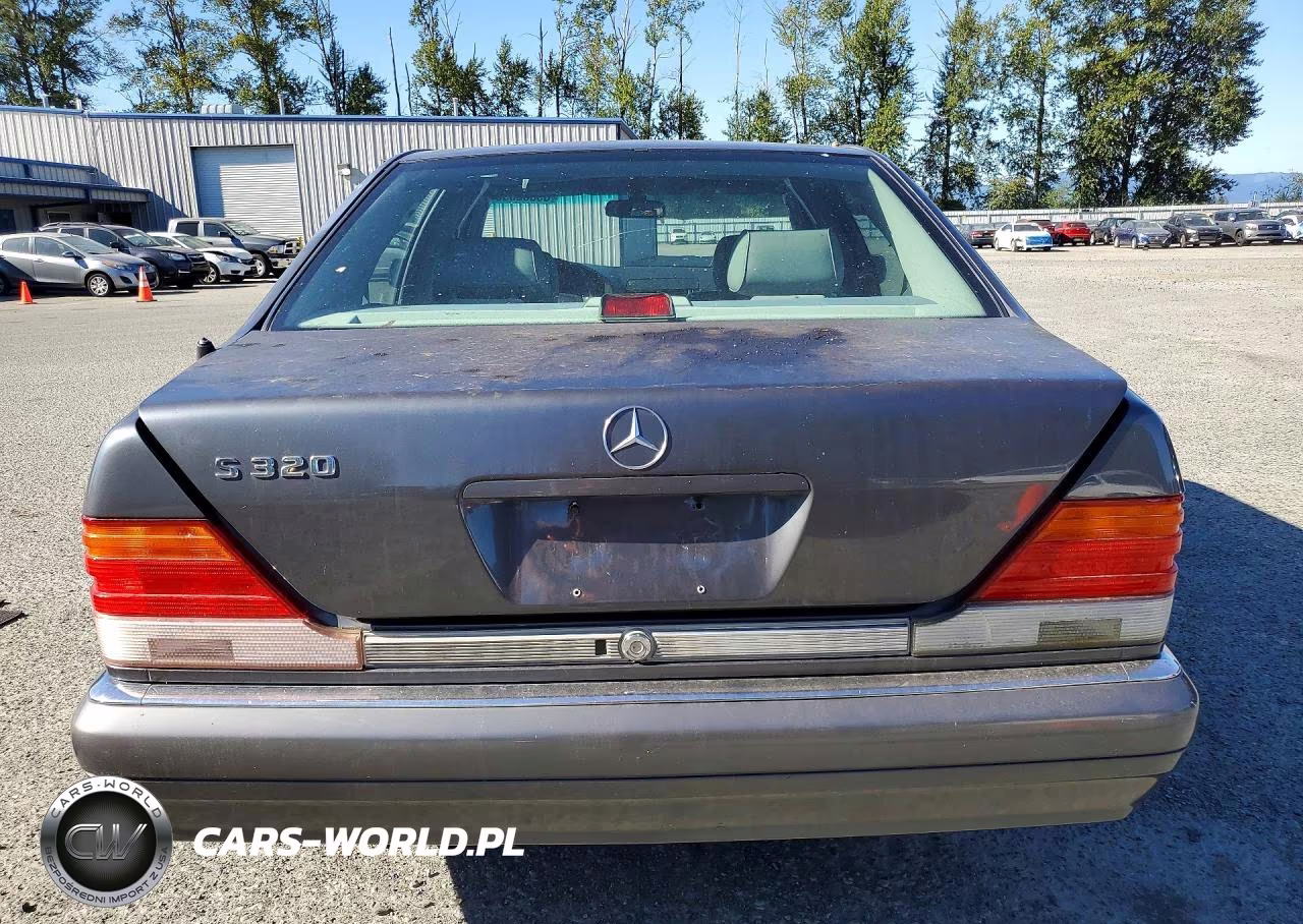1995 Mercedes-Benz S 320 VIN:WDBGA33E4SA265035 - 6