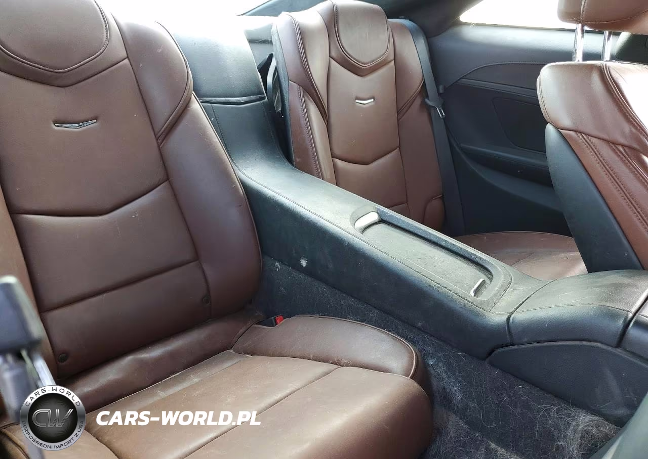 2014 Cadillac Elr Luxury VIN:1G6RS1E44EU601305 - 10