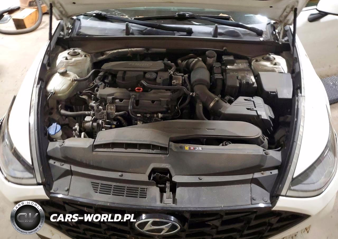 2020 Hyundai Sonata Limited VIN:5NPEH4J24LH049649 - 11