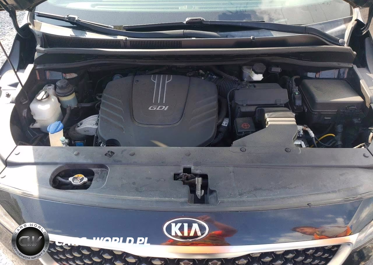 2016 Kia Sedona L VIN:KNDMA5C1XG6172298 - 12