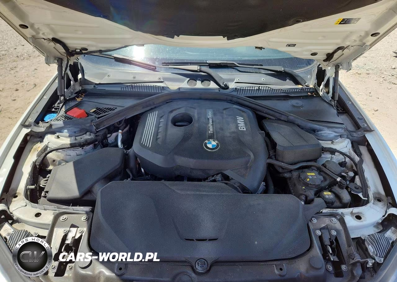 2020 BMW 230Xi VIN:WBA2J3C06L7E13975 - 11