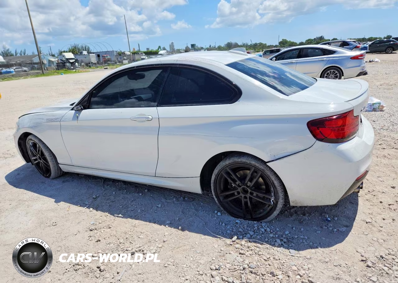 2020 BMW 230Xi VIN:WBA2J3C06L7E13975 - 2